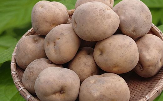 【2025年9月下旬より発送】キタカムイ10kg 厚沢部産 【Sサイズ】 【 ふるさと納税 人気 おすすめ ランキング じゃがいも ジャガイモ キタカムイ 野菜 肉じゃが カレー コロッケ 煮物