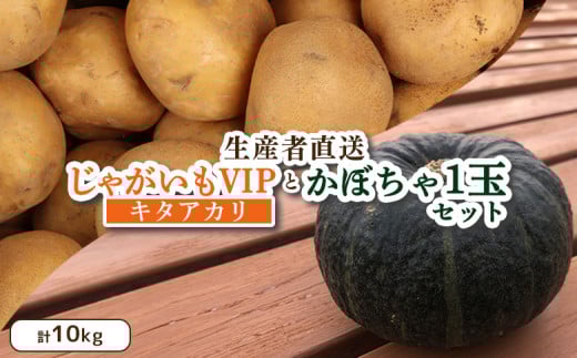 【先行予約】(生産者直送)じゃがいも VIP キタアカリ かぼちゃ 1玉 セット 計10kg いも 芋 イモ ジャガイモ きたあかり カボチャ 南瓜 オンライン 申請 ふるさと納税 北海道 留寿都 野菜