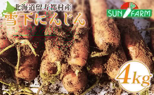 雪下にんじん 4kg 人参 にんじん ニンジン 越冬 オンライン 申請 ふるさと納税 北海道 留寿都 野菜 春 旬野菜 季節野菜 甘い フルーツ みずみずしい 産地直送 新鮮 採れたて サラダ カレー お