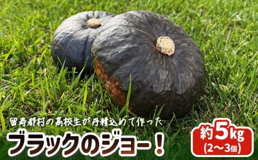 留寿都村の高校生が丹精込めて作ったブラックのジョー!【23003】北海道留寿都村10000野菜・きのこその他 野菜