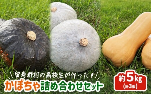 留寿都村の高校生が作った!かぼちゃ詰め合わせセット【23004】北海道留寿都村10000野菜・きのこその他 野菜