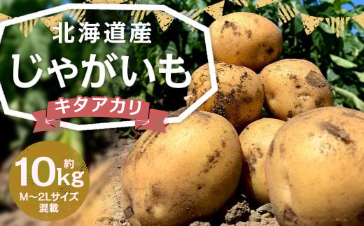 北海道産 じゃがいも キタアカリ M〜2Lサイズ混載 約10kg 1箱 山田農場 ジャガイモ 芋 いも イモ 国産 【2025年9月下旬-2026年3月上旬迄発送予定】北海道京極町9000野菜・きのこじゃがいも・イモ