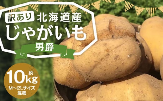 【訳あり】北海道産 じゃがいも 男爵 M〜2Lサイズ混載 約10kg 1箱 山田農場 ジャガイモ 芋 いも イモ 訳アリ わけあり ワケアリ 国産 【2025年9月下旬-2026年3月上旬迄発送予定】北海道京極町7000