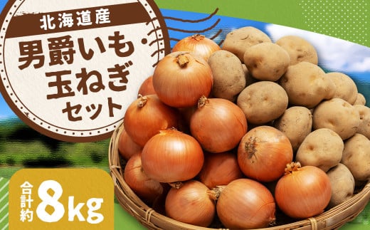 じゃがいも 男爵 Lサイズ 約5kg×1箱・玉ねぎ Lサイズ 約3kg×1箱 (JA) 計約8kg セット ジャガイモ 芋 いも イモ 玉葱 タマネギ たまねぎ 詰め合わせ 詰合せ 国産 【2025年11月上旬-12月下旬迄発送