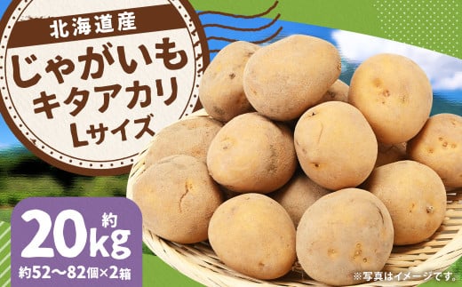 じゃがいも キタアカリ Lサイズ 約10kg×2箱 計約20kg (JA) ジャガイモ 芋 いも イモ 国産 【2025年9月下旬-12月下旬迄発送予定】北海道京極町18000野菜・きのこじゃがいも・イモ類