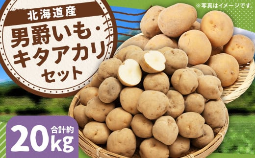 じゃがいも 男爵 キタアカリ  Lサイズ 各約10kg×1箱 計約20kg (JA) ジャガイモ 芋 いも イモ 食べ比べ 食べくらべ セット 国産 【2025年9月下旬-12月下旬迄発送予定】北海道京極町18000野菜・き