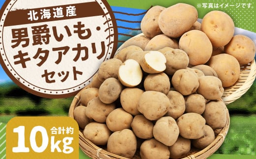 じゃがいも 男爵 キタアカリ  Lサイズ 各約5kg×1箱 計約10kg (JA) ジャガイモ 芋 いも イモ 食べ比べ 食べくらべ セット 国産 【2025年9月下旬-12月下旬迄発送予定】北海道京極町12000野菜・きの