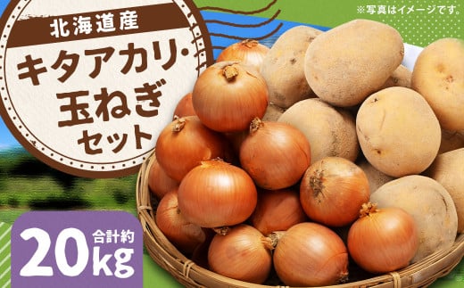 じゃがいも キタアカリ Lサイズ 約10kg×1箱・玉ねぎ L大サイズ 約10kg×1箱 計約20kg (JA) ジャガイモ 芋 いも イモ 玉葱 タマネギ たまねぎ 詰合せ 詰め合わせ セット 国産 【2025年11月上旬-12月