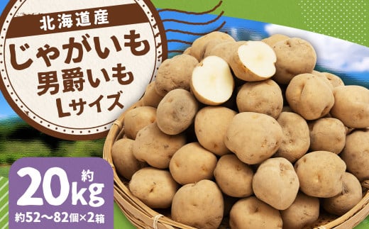 じゃがいも 男爵 Lサイズ 約10kg×2箱 計約20kg (JA) ジャガイモ 芋 いも イモ 国産 【2025年9月下旬-2026年2月下旬迄発送予定】北海道京極町18000野菜・きのこじゃがいも・イモ類