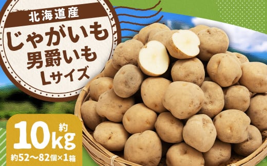 じゃがいも 男爵 Lサイズ 約10kg×1箱 計約10kg (JA) ジャガイモ 芋 いも イモ 国産 【2025年9月下旬-2026年2月下旬迄発送予定】北海道京極町11000野菜・きのこじゃがいも・イモ類