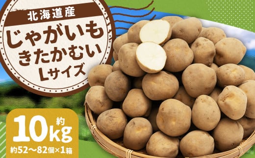 じゃがいも きたかむい Lサイズ 約10kg×1箱 計約10kg (JA) ジャガイモ 芋 いも イモ 国産 【2026年1月上旬-2月下旬迄発送予定】北海道京極町11000野菜・きのこじゃがいも・イモ類