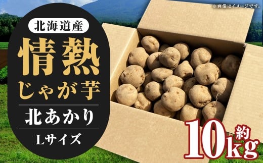 【先行受付】北海道産 情熱じゃが芋(北あかり) Lサイズ 計約10kg 株式会社マルエイ商事 じゃがいも じゃが芋 ジャガイモ 芋 いも イモ 国産【2025年10月下旬〜2025年12月上旬迄発送予定】北