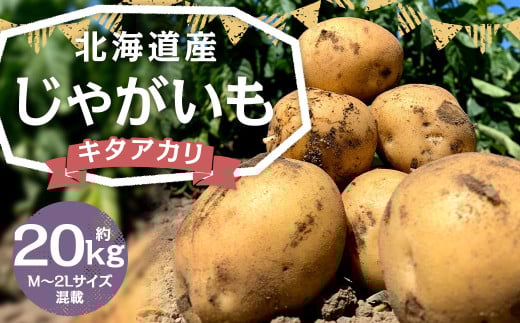 北海道産 じゃがいも キタアカリ M〜2Lサイズ混載 約20kg 1箱 山田農場 ジャガイモ 芋 いも イモ 国産 【2025年9月下旬-2026年3月上旬迄発送予定】北海道京極町14000野菜・きのこじゃがいも・イモ