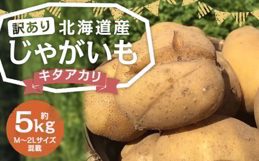 【訳あり】北海道産 じゃがいも キタアカリ M〜2Lサイズ混載 約5kg 1箱 山田農場 ジャガイモ 芋 いも イモ 訳アリ わけあり ワケアリ 国産 【2025年9月下旬-2026年3月上旬迄発送予定】北海道京極