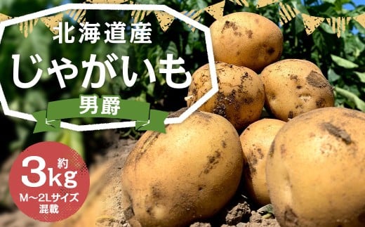北海道産 じゃがいも (男爵) 約3kg 山田農場 【2025年9月下旬〜2026年3月上旬迄発送予定】 だんしゃく ジャガイモ 芋 いも 野菜 やさい ほくほく 北海道 京極町 常温北海道京極町5000野菜・き