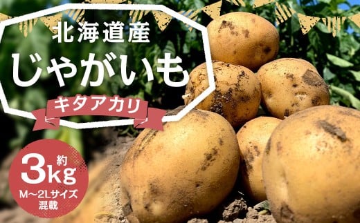 北海道産 じゃがいも (キタアカリ) 約3kg 山田農場 【2025年9月下旬〜2026年3月上旬迄発送予定】 きたあかり 栗じゃが ジャガイモ 芋 いも 野菜 やさい 北海道 京極町 常温北海道京極町5000野