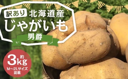 【訳あり】 北海道産 じゃがいも (男爵) 約3kg 山田農場 【2025年9月下旬〜2026年3月上旬迄発送予定】 訳アリ 理由あり わけあり だんしゃく ジャガイモ 芋 いも 野菜 やさい ほくほく 北海道