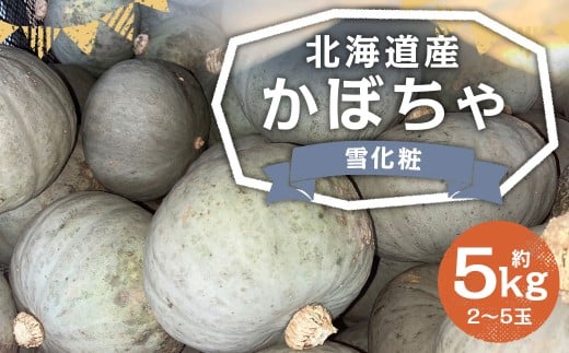 北海道産 かぼちゃ (雪化粧) 約5kg セット 山田農場 【2025年10月上旬-11月上旬迄発送予定】 南瓜 カボチャ 冬至用かぼちゃ 野菜 やさい 北海道 京極町 常温北海道京極町9000野菜・きのこその