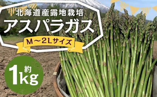 北海道産 露地栽培 アスパラガス M〜2L 約1kg 【2026年5月下旬〜6月上旬迄発送予定】 グリーンアスパラガス アスパラ 野菜 北海道 京極町 冷蔵北海道京極町10000野菜・きのこその他 野菜