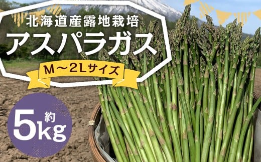 北海道産 露地栽培 アスパラガス M〜2L 約5kg 【2026年5月下旬〜6月上旬迄発送予定】 グリーンアスパラガス アスパラ 野菜 北海道 京極町 冷蔵北海道京極町32000野菜・きのこその他 野菜