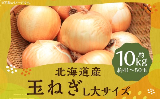 玉ねぎ L大サイズ 約10kg × 1箱 (JA) 【2025年11月上旬〜12月下旬迄発送予定】 玉葱 玉ネギ たまねぎ タマネギ 野菜 肉厚 北海道 京極町 常温北海道京極町11000野菜・きのこ玉ねぎ・ねぎ