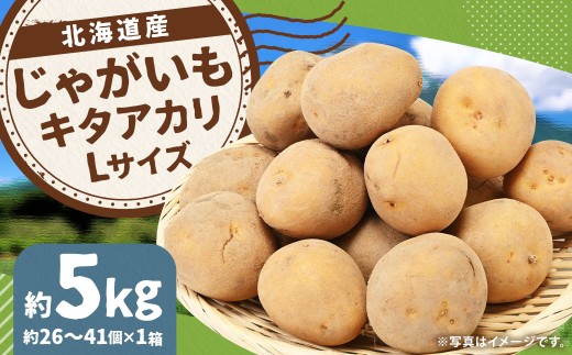 じゃがいも (キタアカリ) Lサイズ 約5kg × 1箱 約5kg (JA) 【2025年9月下旬〜12月下旬迄発送予定】 きたあかり 栗じゃが ジャガイモ 芋 いも 野菜 やさい 北海道 京極町 常温北海道京極町8000