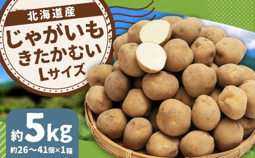 じゃがいも (きたかむい) Lサイズ 約5kg × 1箱 約5kg (JA) 【2026年1月上旬〜2月下旬迄発送予定】 ジャガイモ 芋 いも 野菜 やさい 北海道 京極町 常温北海道京極町8000野菜・きのこじゃがい