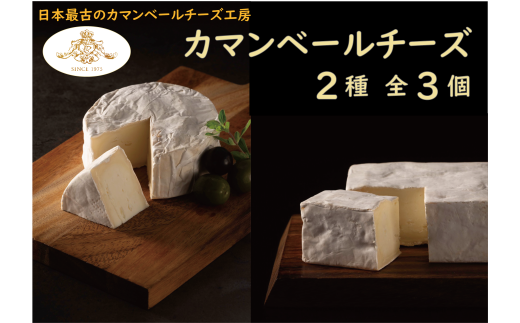 【クレイル特製】カマンベールチーズ 2種 セット北海道共和町15000卵・乳製品チーズ