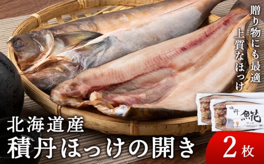ϒOzbP̊J 2kCϒO12000ECY