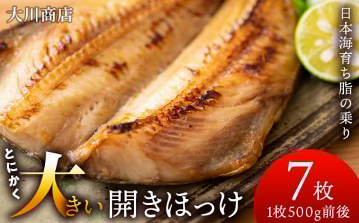 とにかく大きい 開きほっけ 7枚 セット < 大川商店 > ホッケ ほっけ 魚 北海道 干物 冷凍 北海道産北海道積丹町26000魚介・海産物干物