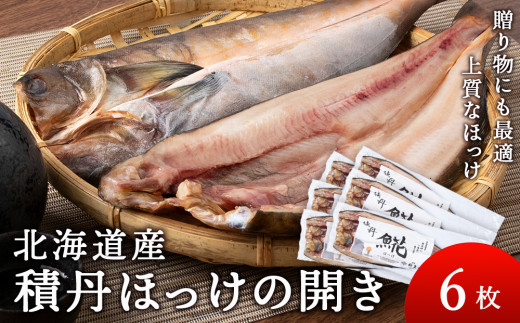 ϒOzbP̊J 6kCϒO36000ECY