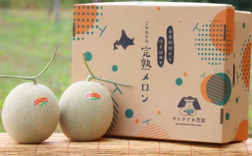 (黄味香)【4〜6玉入】やなぎさわ農園の甘い青肉メロン北海道赤井川村22500果物・フルーツメロン・スイカ