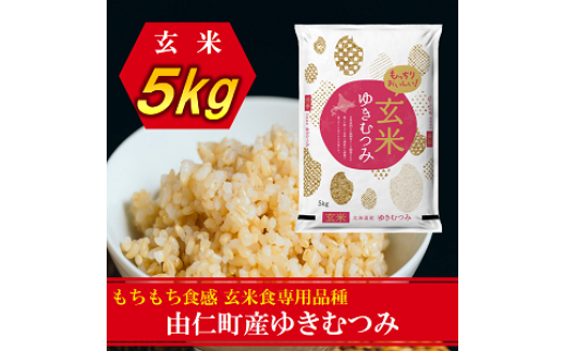 TT11@䂫ނ݁@5kgkCRm15000āEpāEGāEāE