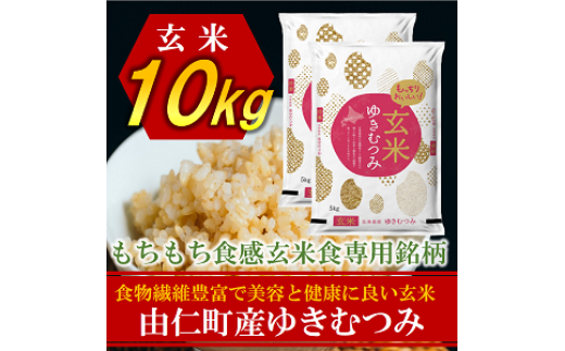 TT15@䂫ނ݁@10kgi5s×2jkCRm30000āEpāEGāEāE