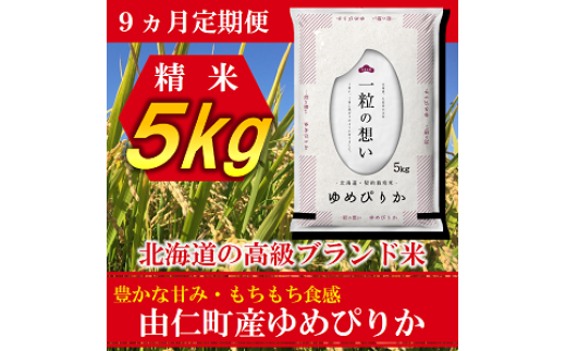 TT04 【9カ月定期】ゆめぴりか 5kg 計45kg北海道由仁町135000米・パン白米