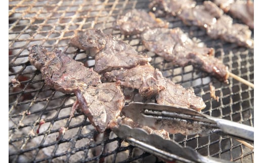 A101エゾシカ 鹿肉 ロース・タン 串物 セット 各5本入り 北海道 鷹栖町 ロース もも肉 使用 高たんぱく 低脂肪 山恵 鹿肉 ジビエ北海道鷹栖町16000肉ジビエ