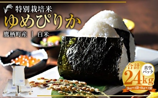 【令和7年産】 ゆめぴりか (白米) 真空パック 24kg 北海道 鷹栖町 たかすタロファーム 米 コメ こめ ご飯 白米 お米 ゆめぴりか コメ 白米北海道鷹栖町100000米・パン白米