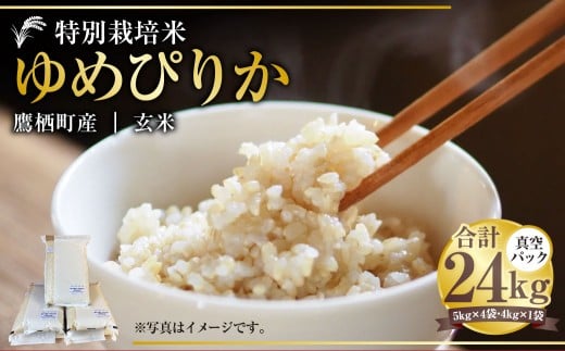【令和7年産】 ゆめぴりか (玄米) 真空パック 24kg 北海道 鷹栖町 たかすタロファーム 米 コメ こめ ご飯 玄米 お米 ゆめぴりか コメ 玄米北海道鷹栖町90000米・パン白米