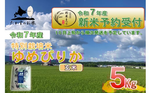 【令和7年産】 ゆめぴりか (玄米) 北海道 米 を代表する人気の品種 5kg 北海道 鷹栖町 たかすのお米 米 コメ こめ ご飯北海道鷹栖町22000米・パン白米