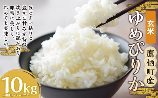 yߘa7NYz ߂҂肩 () kC  \lC̕i 10kg kC 鐲 ̂  R  іkC鐲40000āEp