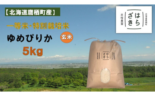 【令和7年産】一等米・特別栽培米 5kg【ゆめぴりか玄米】5kg×1(農薬7割減)北海道 鷹栖町 原崎農園北海道鷹栖町17000米・パン玄米・雑穀米・もち米・餅