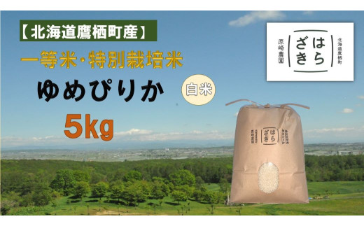 【令和7年産】一等米・特別栽培米 5kg【ゆめぴりか白米】5kg×1袋(農薬7割減)北海道 鷹栖町 原崎農園北海道鷹栖町19000米・パン白米
