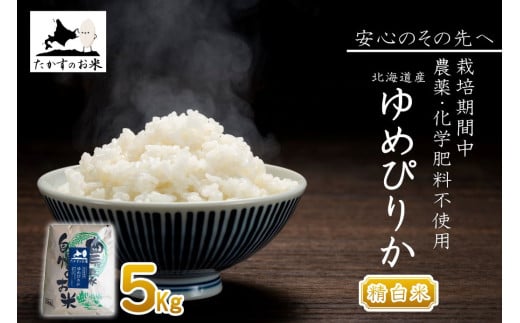 y ߘa7NY z ͔|Ԓ_sgp ߂҂肩 i  j 5kg kC 鐲 ̂ R  іkC鐲40000āEp