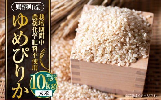 A244 【令和7年産】 ゆめぴりか ( 玄米 ) 栽培期間中農薬化学肥料不使用 5kg×2袋 たかすタロファーム 北海道 鷹栖町 米 コメ こめ ご飯 お米北海道鷹栖町54000米・パン白米