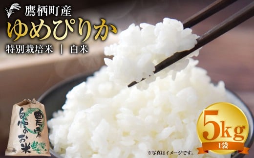 【令和7年産】 ゆめぴりか (白米) 5kg 北海道 鷹栖町 たかすタロファーム 米 コメ こめ ご飯 白米 お米 ゆめぴりか コメ 白米北海道鷹栖町24000米・パン白米