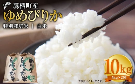 【令和7年産】 ゆめぴりか (白米) 5kg×2袋 北海道 鷹栖町 たかすタロファーム 米 コメ こめ ご飯 白米 お米 ゆめぴりか コメ 白米北海道鷹栖町46000米・パン白米