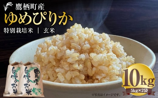 【令和7年産】 ゆめぴりか (玄米) 5kg×2袋 北海道 鷹栖町 たかすタロファーム 米 コメ こめ ご飯 玄米 お米 ゆめぴりか コメ 玄米北海道鷹栖町42000米・パン白米