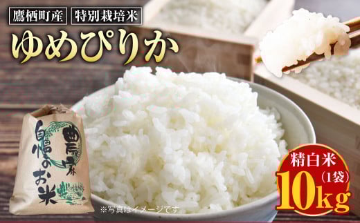 yߘa7NYz ߂҂肩 iāj 10kg kC 鐲 ̂ނ  R   ĖkC鐲46000āEp