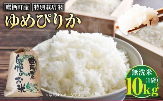 【令和7年産】 ゆめぴりか (無洗米) 10kg 北海道 鷹栖町 たかすのおむすび 米 コメ ご飯 無洗米 お米北海道鷹栖町46000米・パン白米