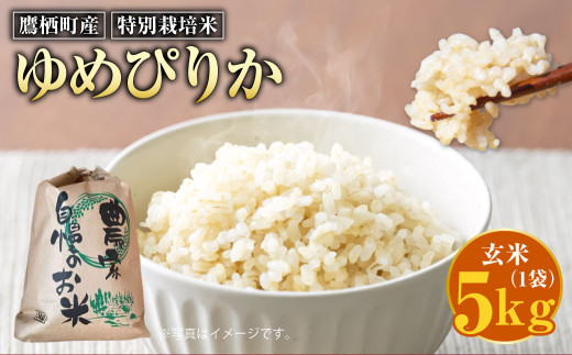 yߘa7NYz ߂҂肩 iāj 5kg kC 鐲 ̂ނ  R   ĖkC鐲22000āEp